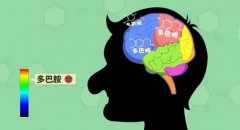 讓大腦產(chǎn)生最強烈快感的物質……體感音樂